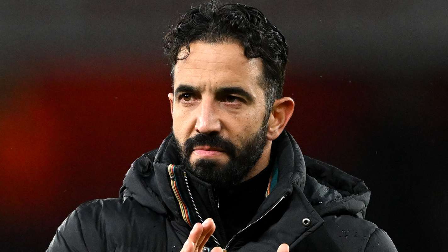 代表团将在 代表团将在